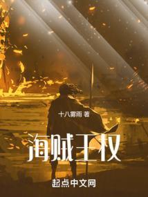 海贼王权威芯片