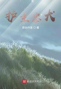 护主最好的中小型犬