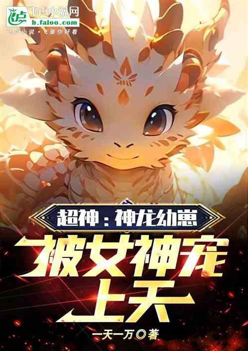 深度解析超神龙