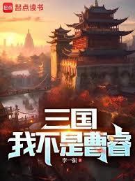 三国我不是曹睿 起点