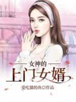 女神的上门女婿林阳