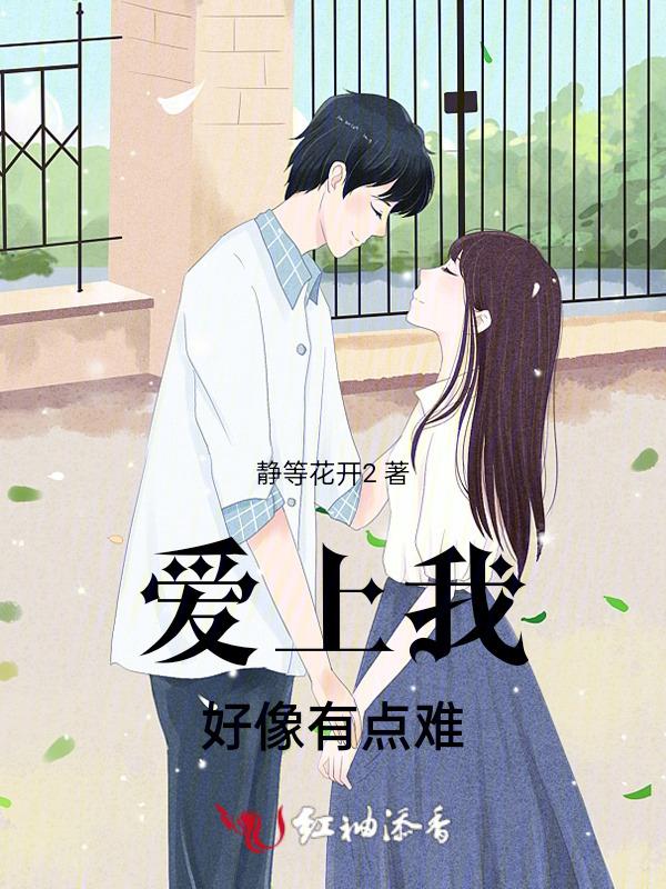 爱上我这样的男人是什么歌