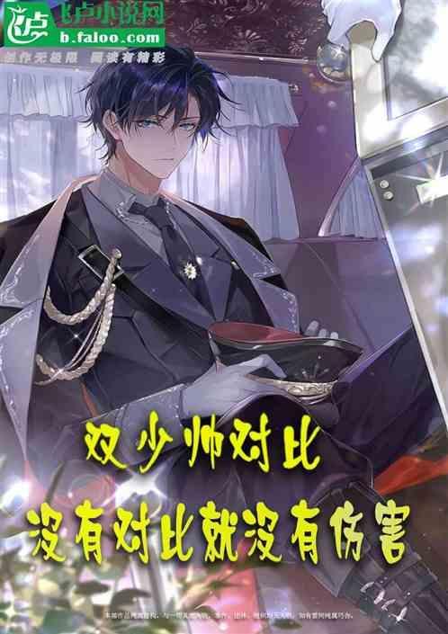 少帅的双面宠妻完整版