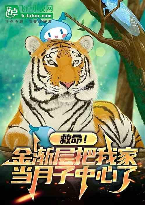 金渐层母几个月可以交配