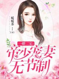 一婚二宝帝少宠妻无节制漫画