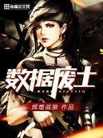 数据废土无防盗