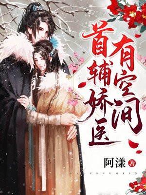首辅娇医有空间沈安