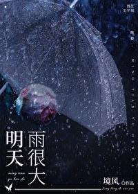 明天雨很大by境风