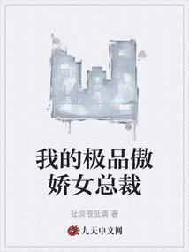 我的极品总裁老婆月半