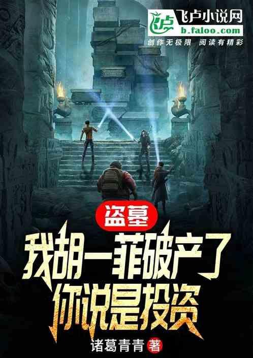 盗版胡一菲是什么意思