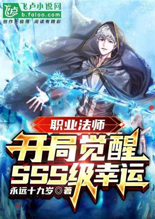 职业法师4