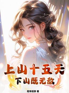 上山19天车