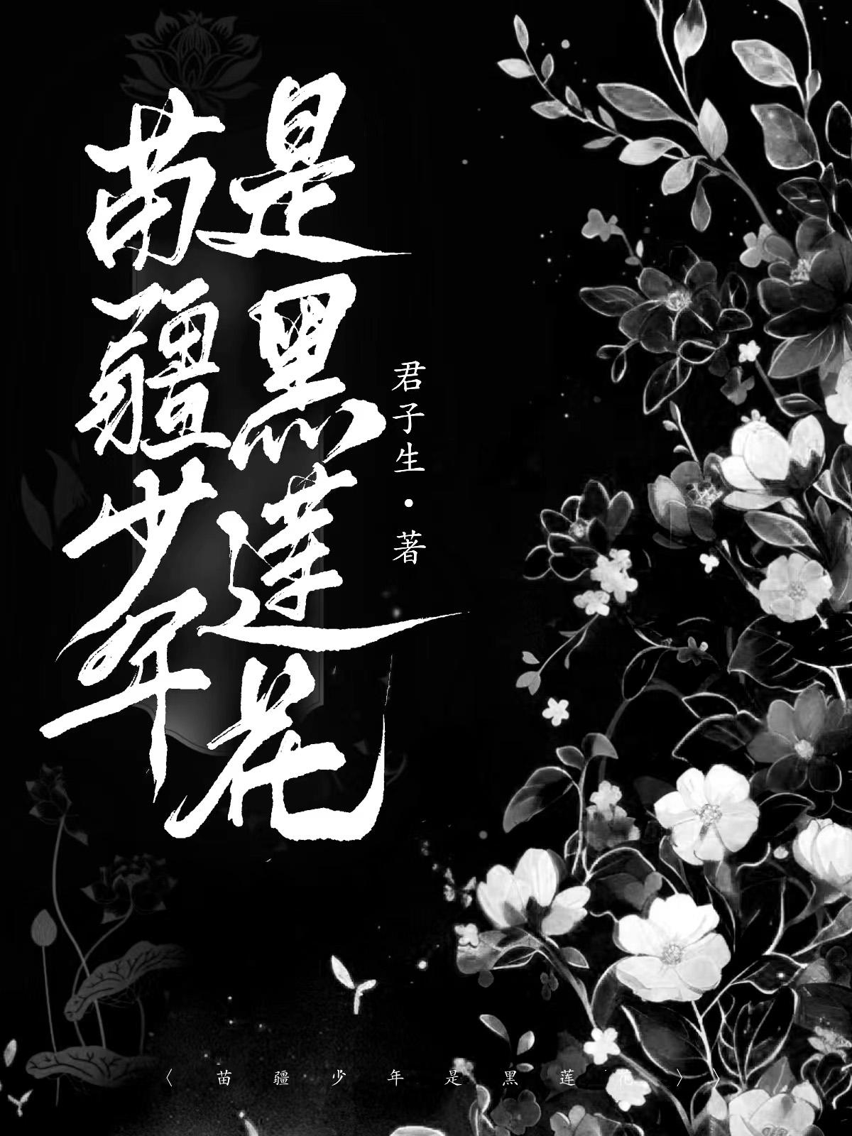 苗疆少年是黑莲花全文阅读