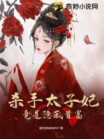杀手太子妃追月凤长日免费听