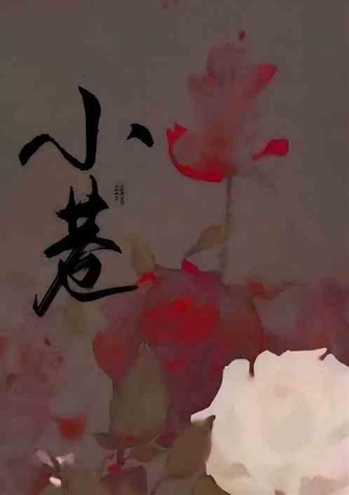 小巷人家豆瓣