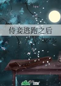 侍妾逃跑之后赵嘉宁