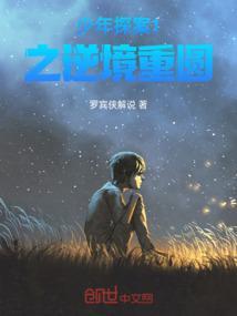 少年侦探 解析