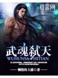 武魂弑天笔趣阁无弹窗