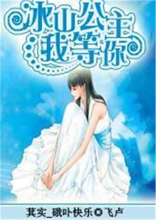 冰山公主的冷酷殿下