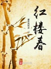 红楼春我为王笔趣阁
