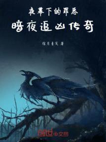 暗夜追击多少集