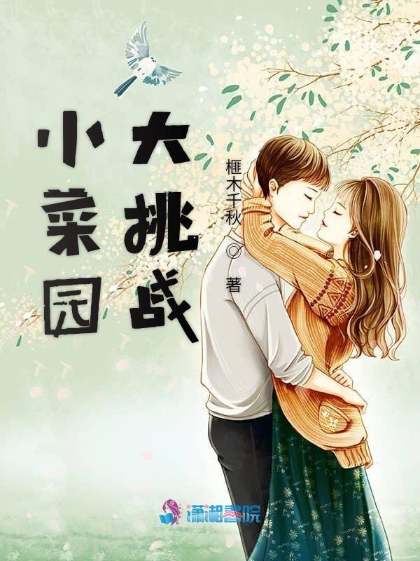 小菜园布局