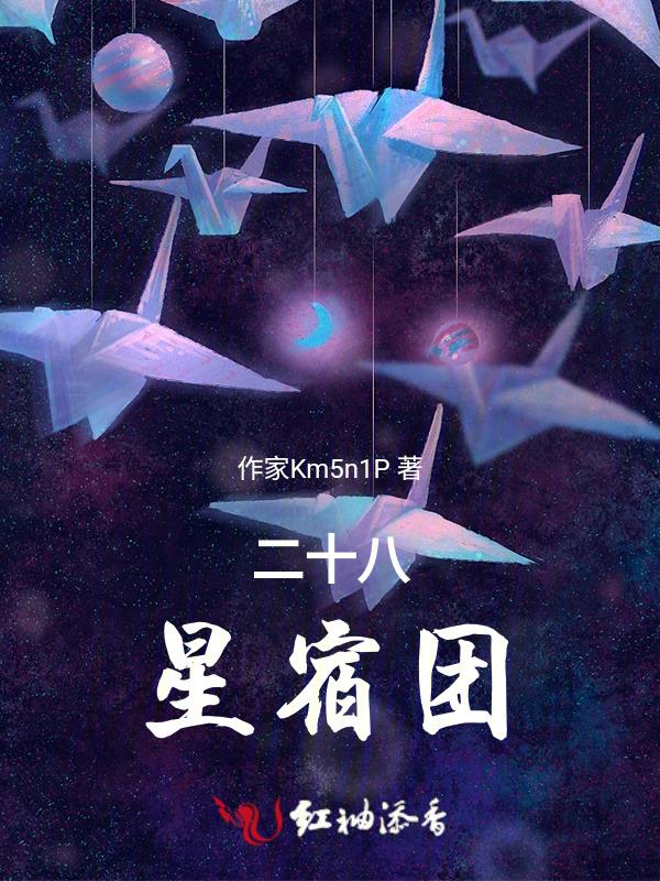 二十八星宿图集