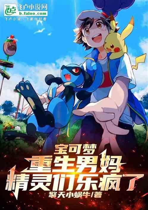 精灵宝可梦重生攻略