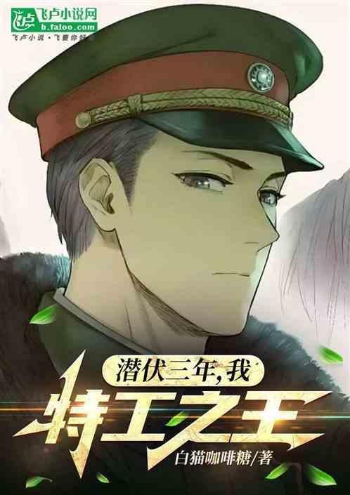 潜伏特工游戏