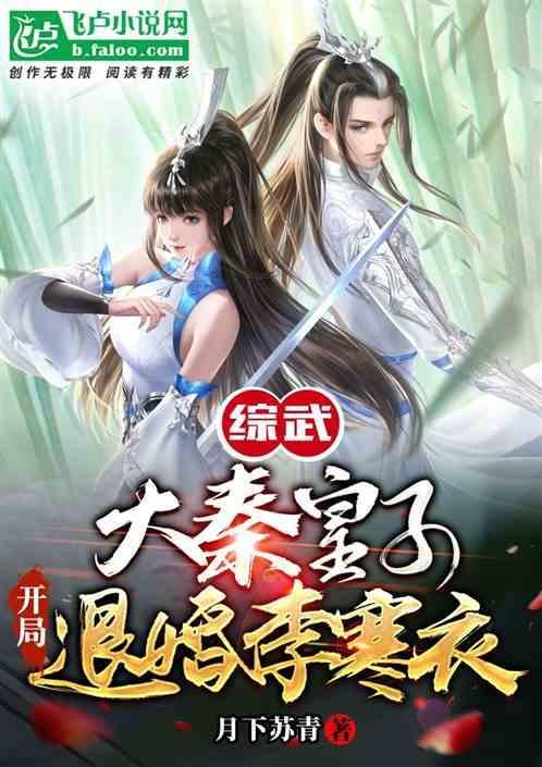 综武世界大秦皇子