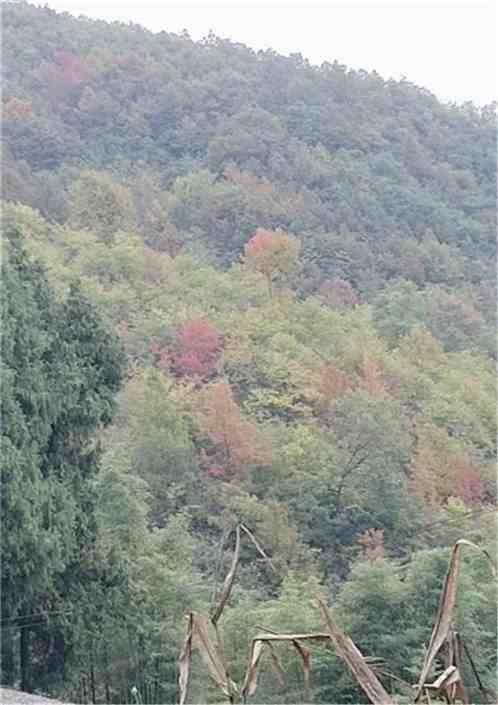景色映入眼帘、呈现