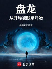 从盘龙开始穿越