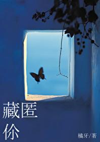 藏匿你无错版