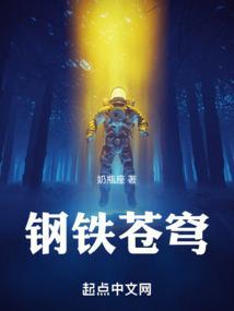 钢铁苍穹豆瓣评分