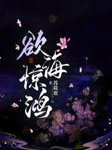 梵海惊鸿实力