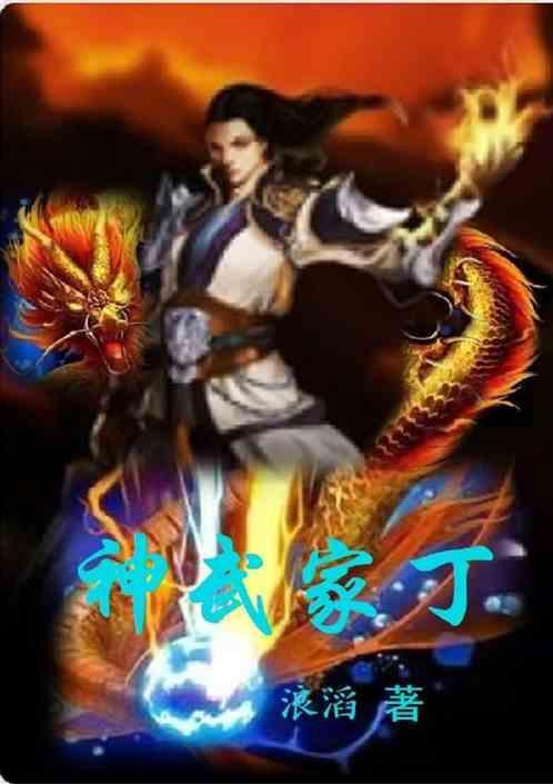 神武家庭装饰