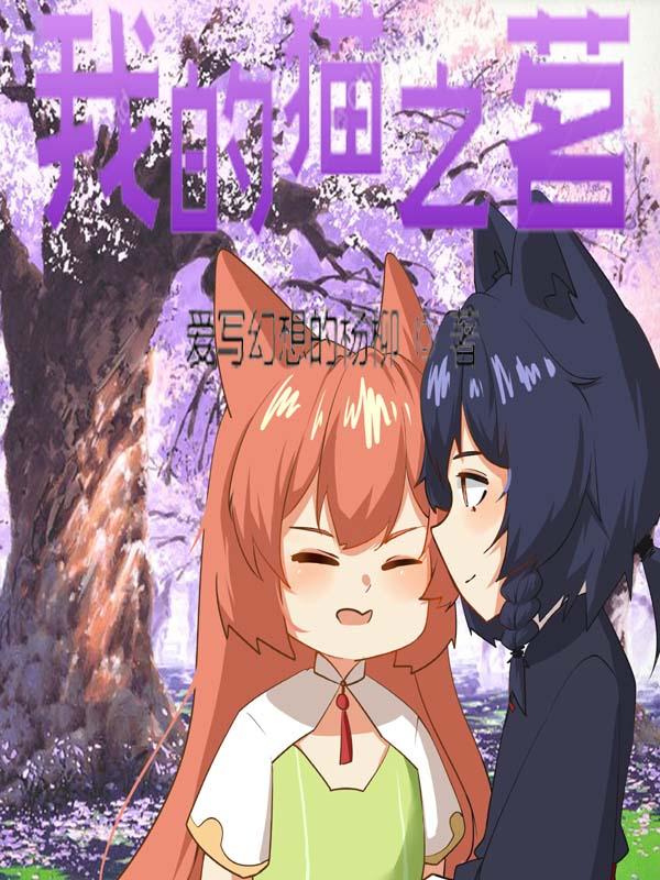 我的猫咪呢