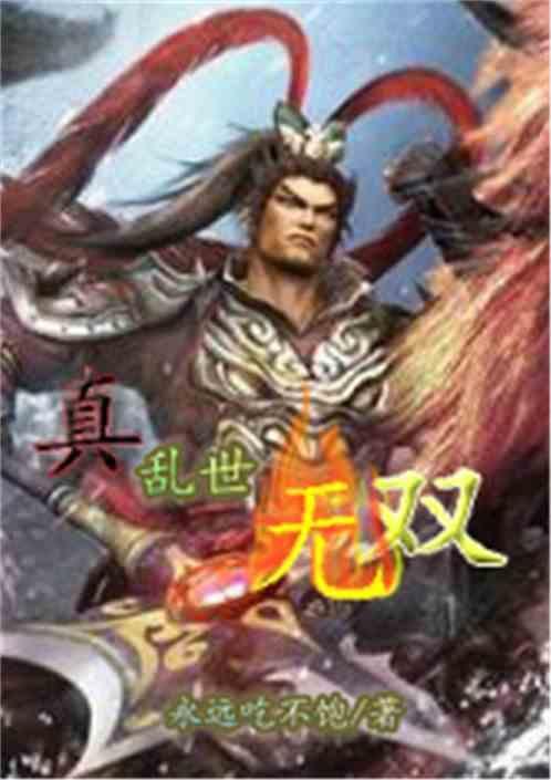 乱世无双卡牌攻略