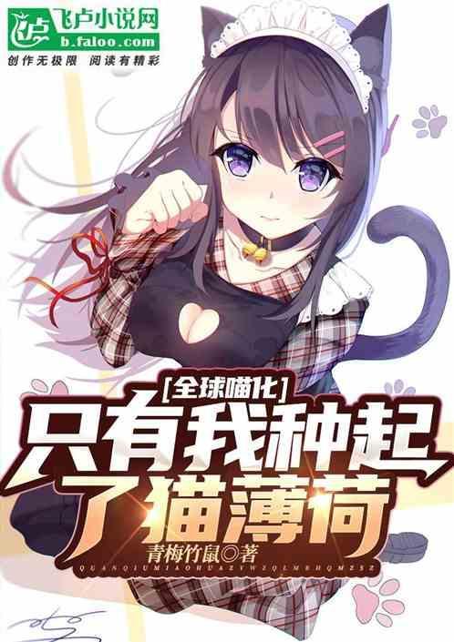 全球猫商城