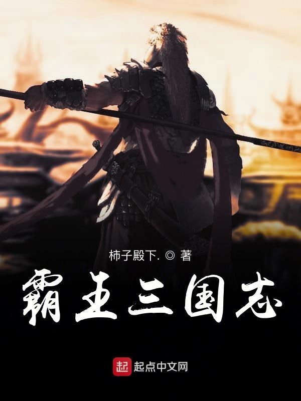 霸王三国志金手指