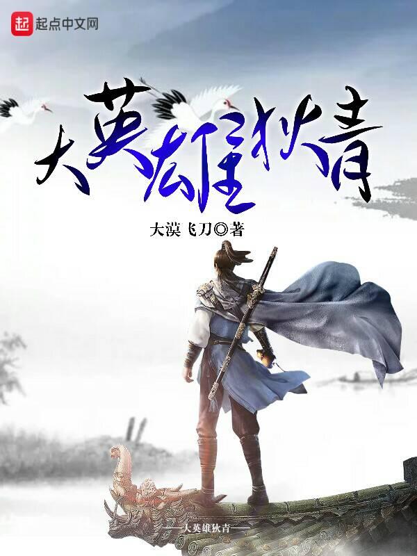 大英雄狄青20集