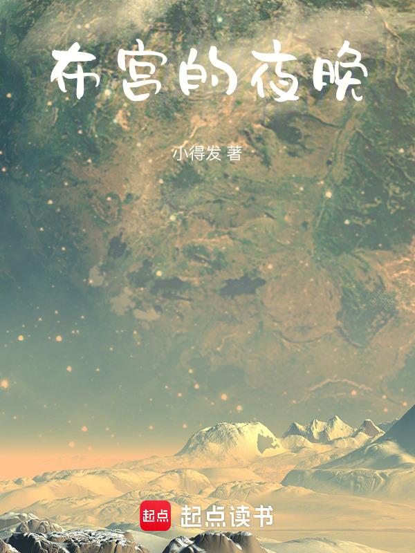 夜色里的布达拉宫