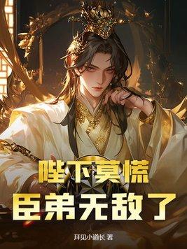 陛下臣上原版