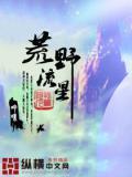 荒野流浪者解说