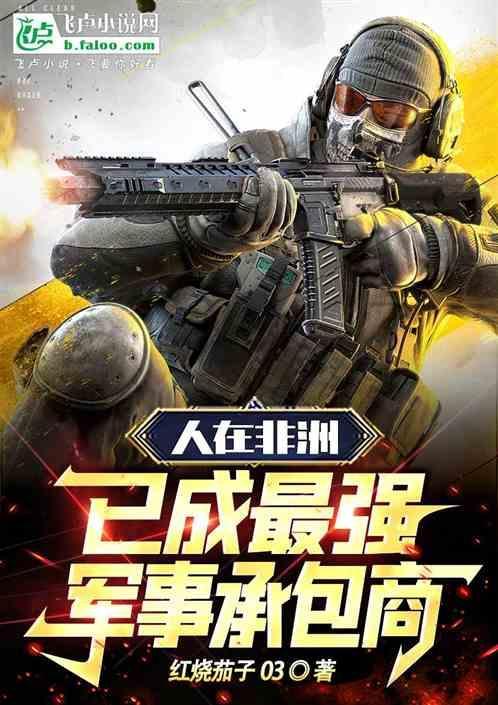 我在非洲卖军火