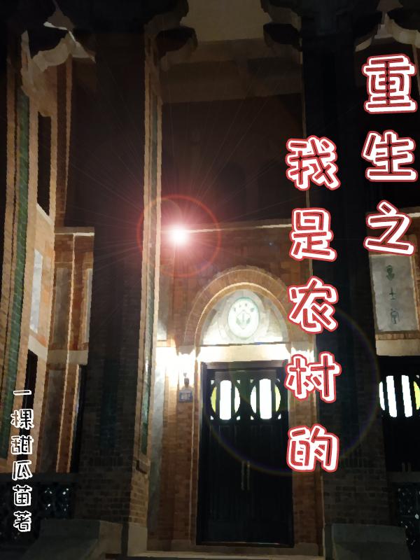 重生之我的农村生活