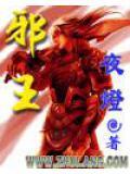 邪王追妻多少字
