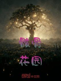 骸骨dc