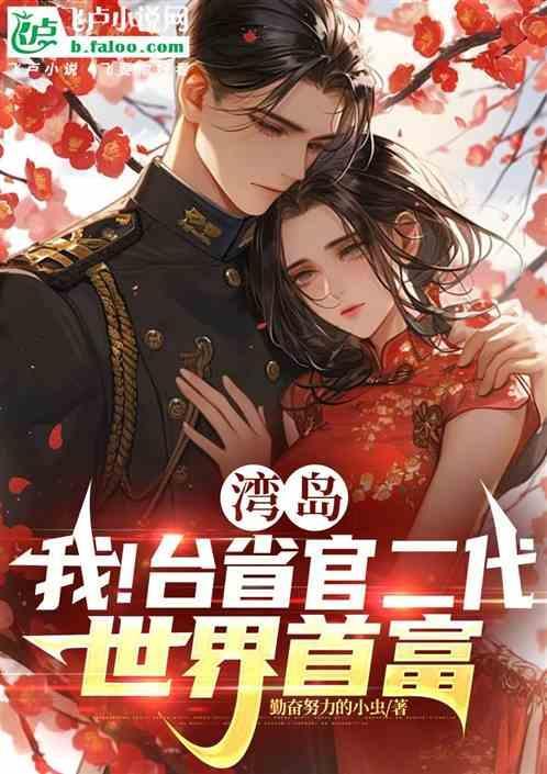 台湾岛百度百科