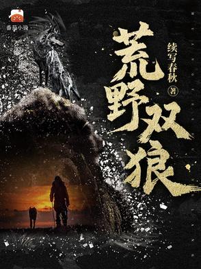 荒野双狼全书